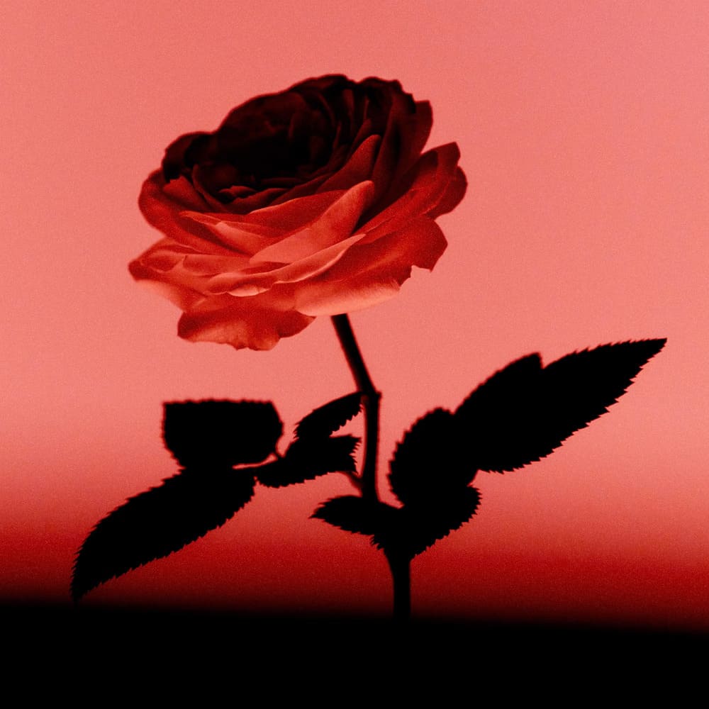 Contre Jour EDP FREDERIC MALLE 50ml (2)