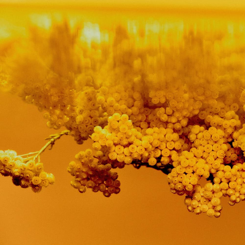 Contre Jour EDP FREDERIC MALLE 50ml (3)