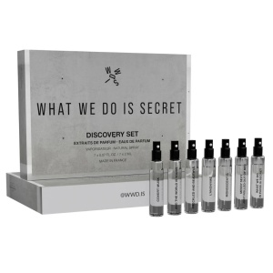 Discovery Kit WHAT WE DO IS SECRET
