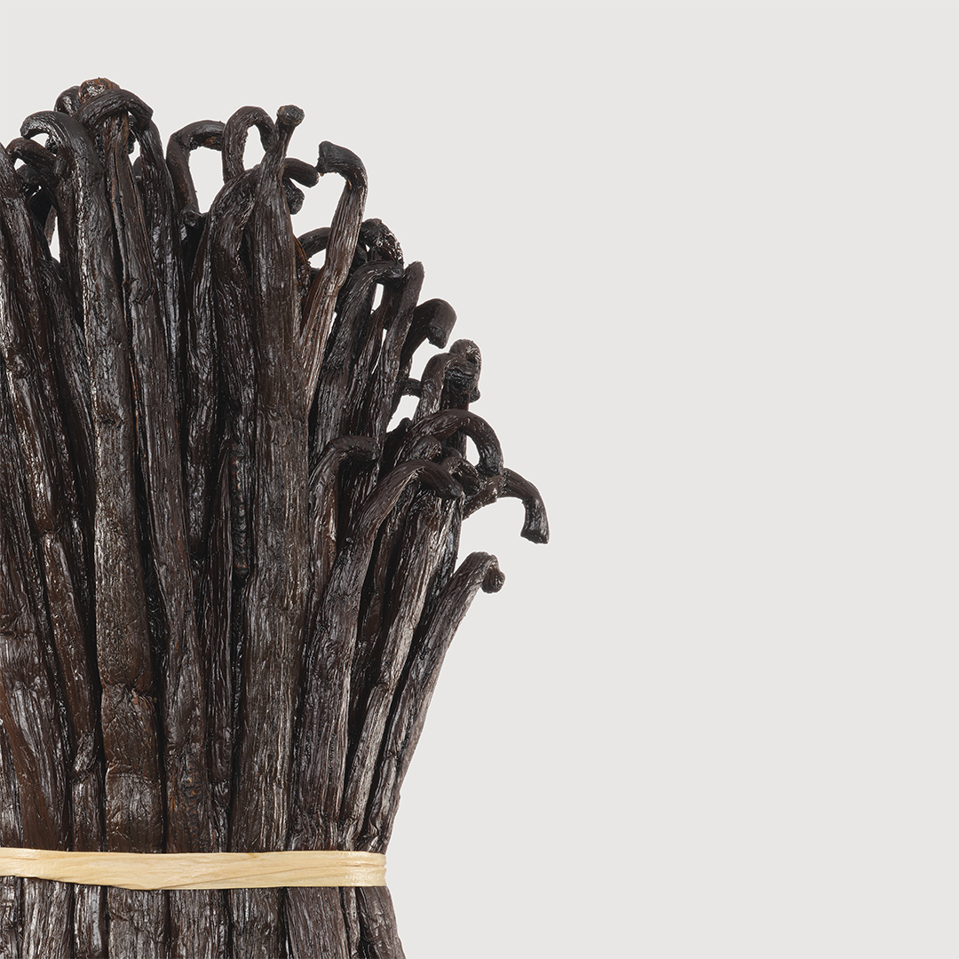 Vanilla Powder Extrait MATIERE PREMIERE 100ml (2)